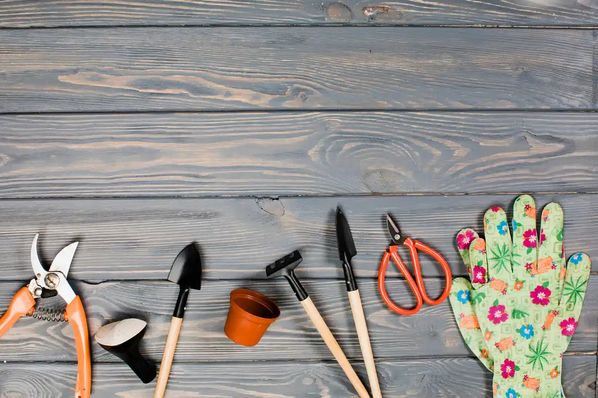garden tools budget comparison outdoor gardening equipment