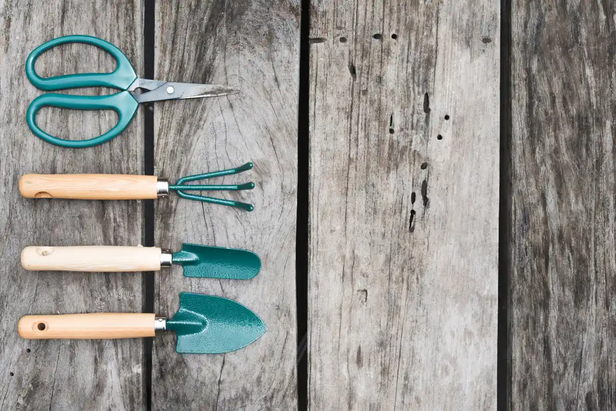 garden tools budget comparison