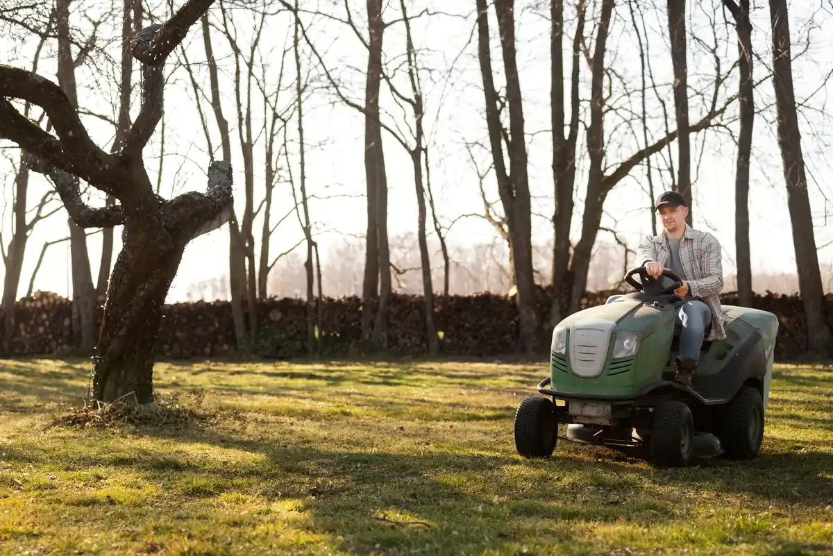 electric lawn mower garden maintenance green grass
