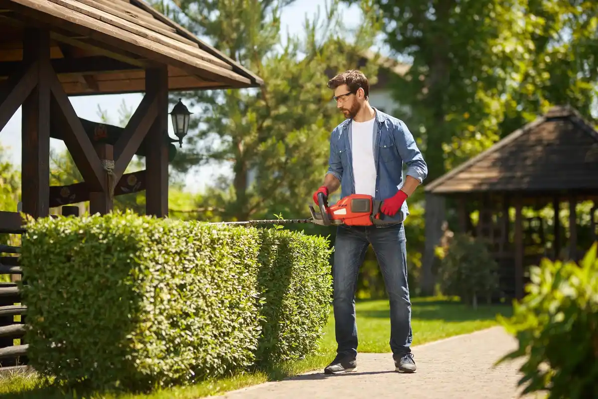 robotic lawn mower working in green backyard