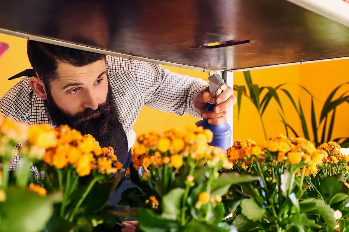 Zo haal je meer uit je moestuin: 7 tips waar je tuin meteen beter van wordt