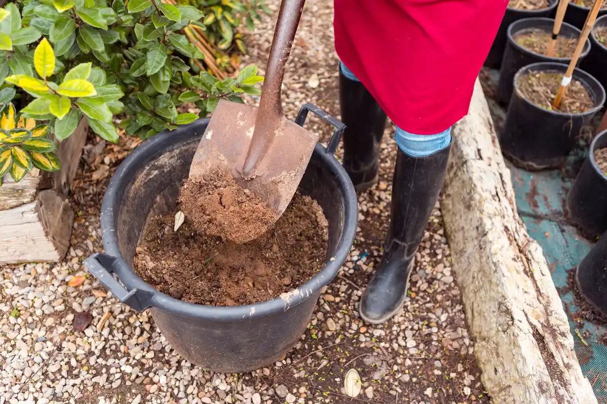 Dutch vegetable garden soil preparation