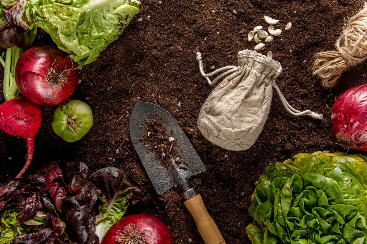 vegetable garden companion planting from above