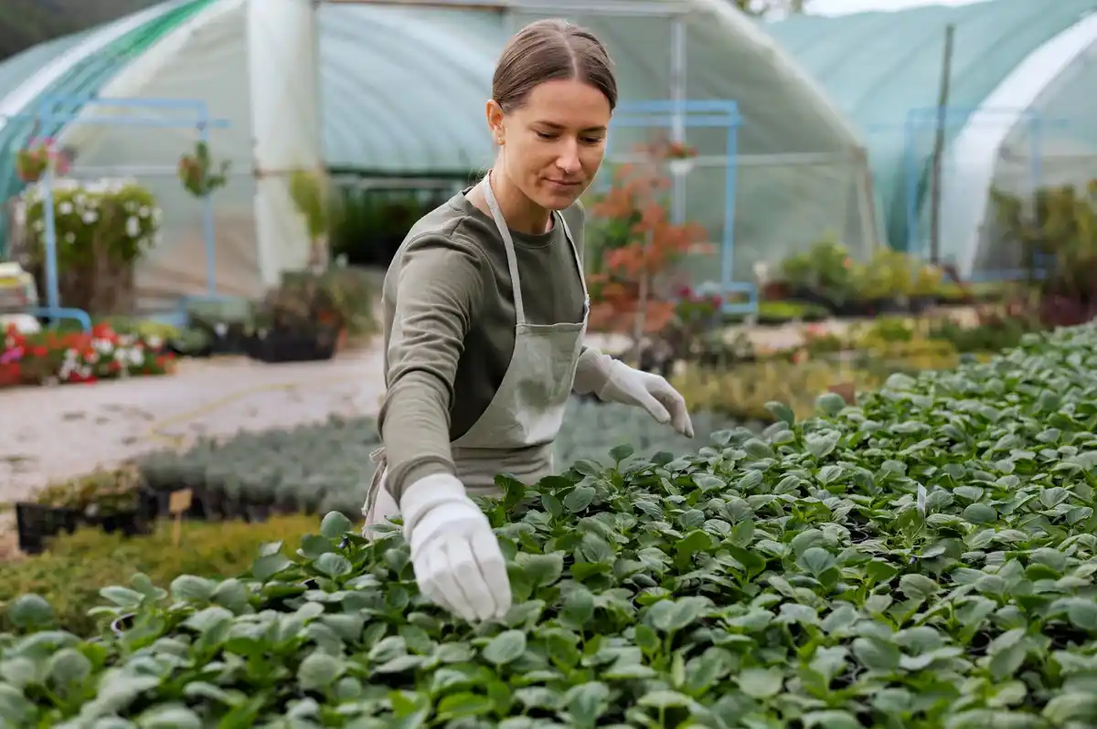 Welke groenten mis je nog in je tuin? Deze 5 zijn verrassend makkelijk te telen