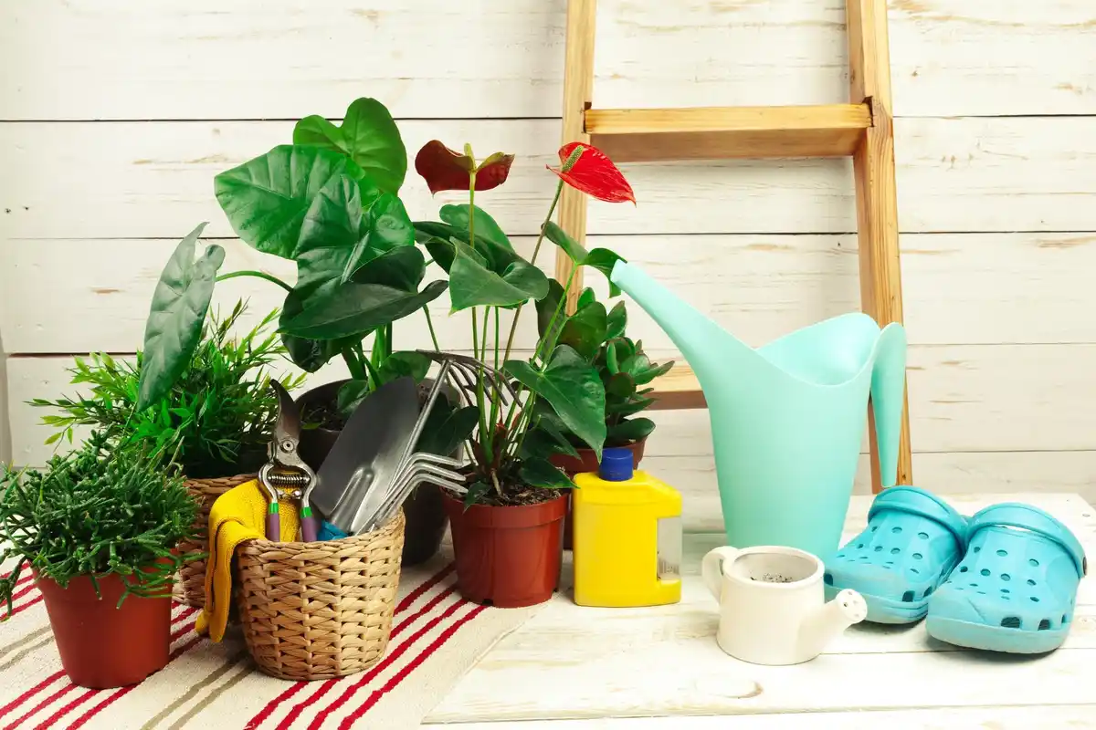 urban vegetable garden balcony pots