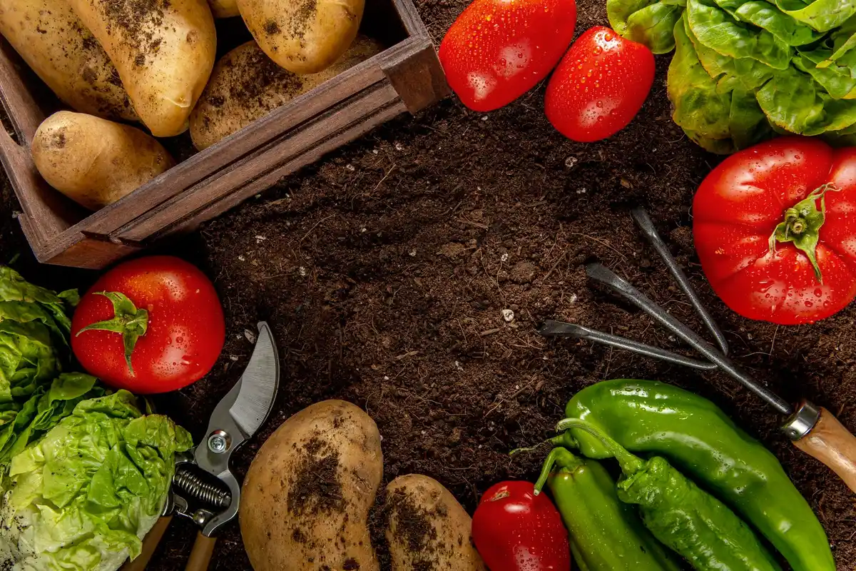 vegetable container garden soil mix nutrients