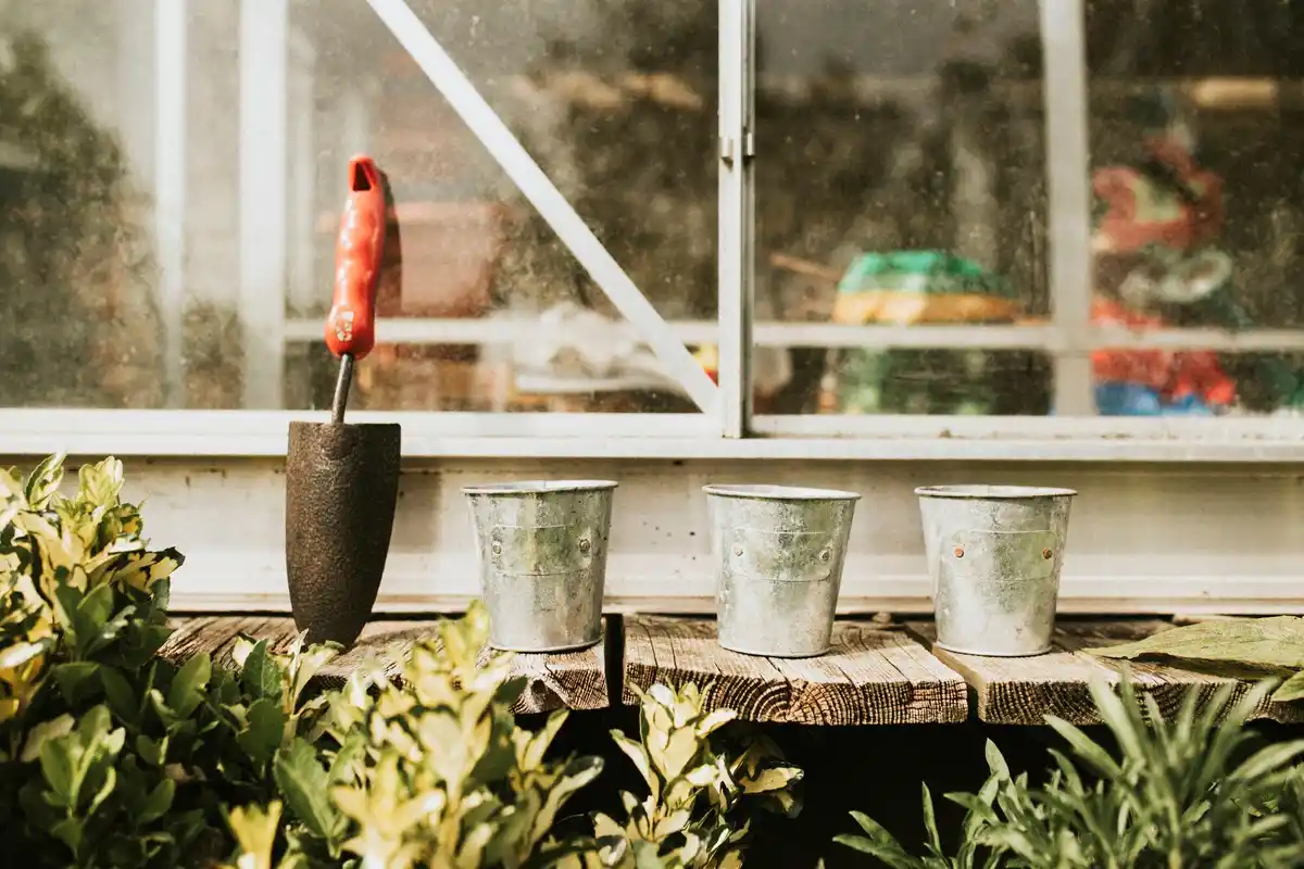 balcony vegetable garden pots sunlight