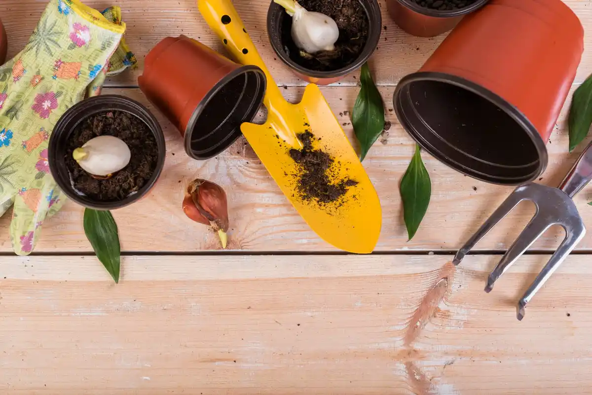 balcony vegetable garden small pots