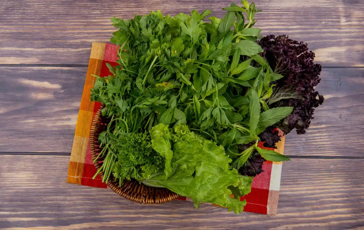 vertical balcony garden with herbs and vegetables