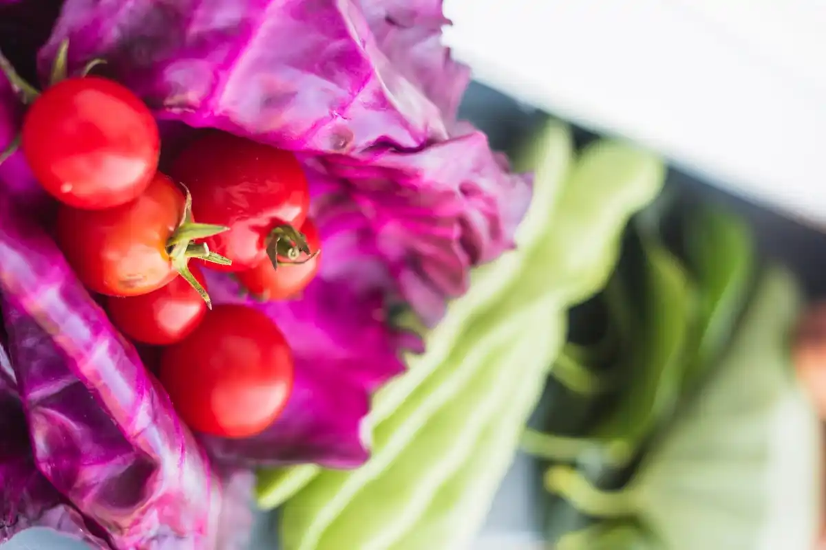 De beste groenten voor jouw balkonmoestuin – zo lukt het altijd
