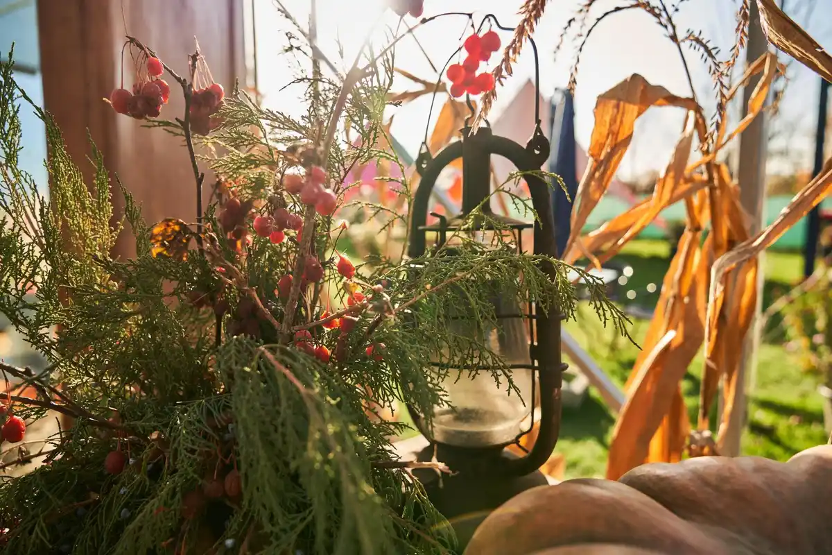 urban balcony garden with tomatoes and herbs