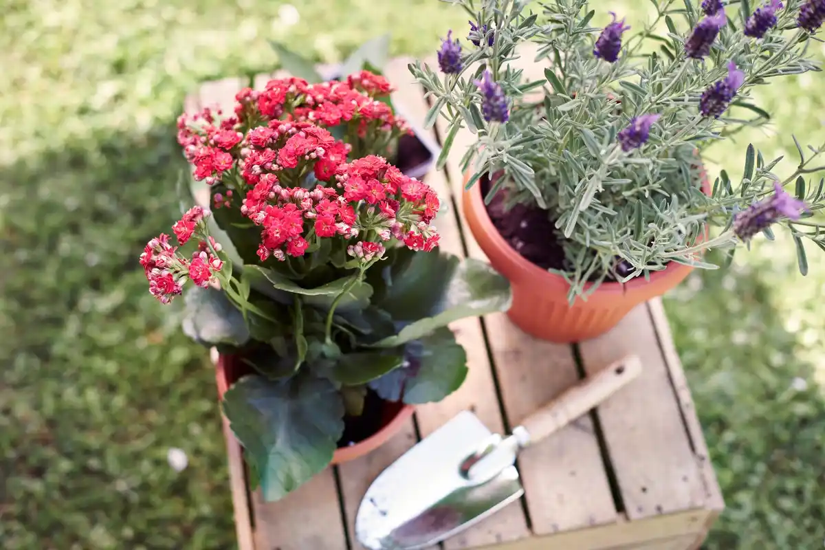 Zo haal je het maximale uit je kleine balkon met containergarten