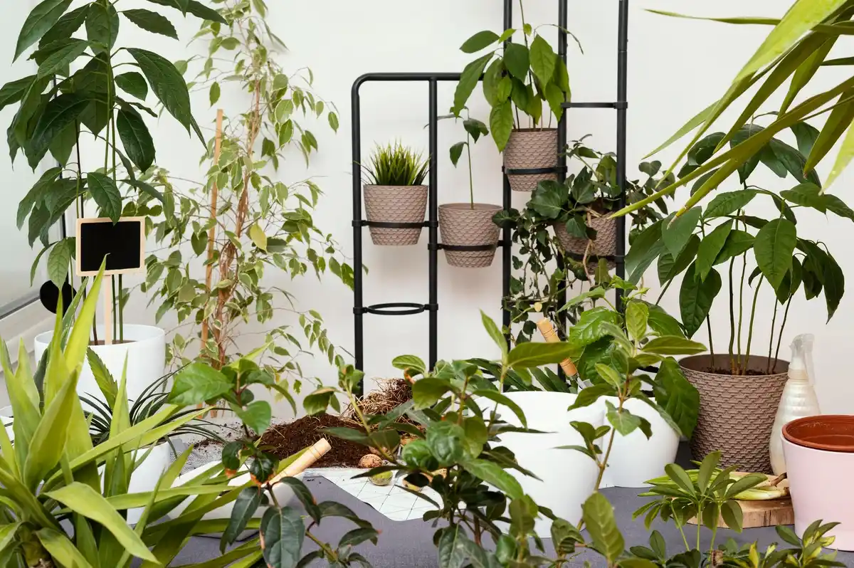 5 handige tips om je balkon tot een groene moestuin te maken
