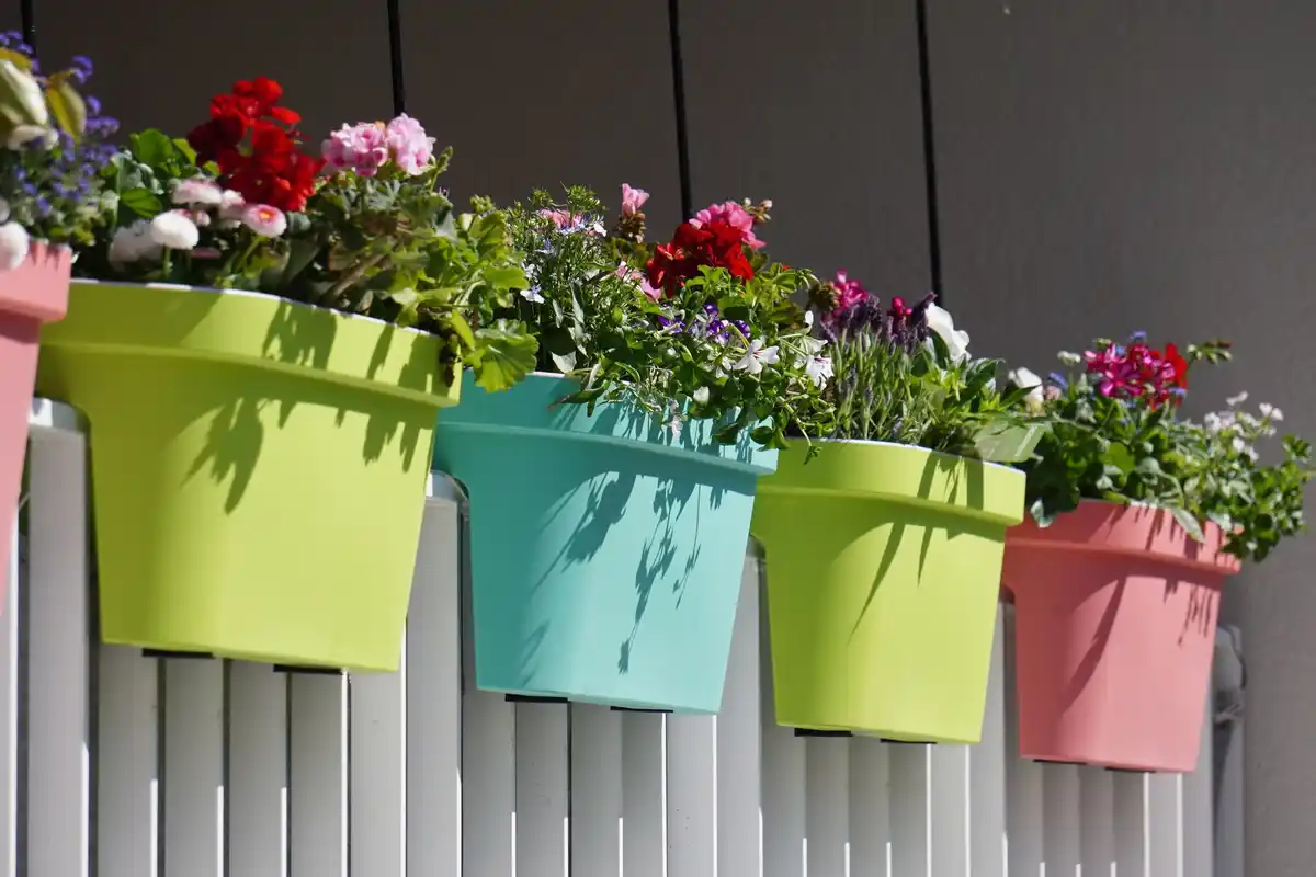 balcony vegetable garden small pots urban