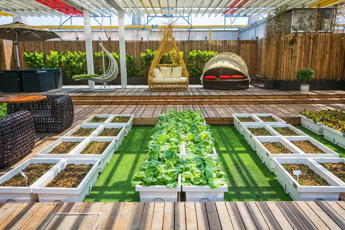 Waarom moestuinieren in bakken slimmer is dan traditionele tuinen