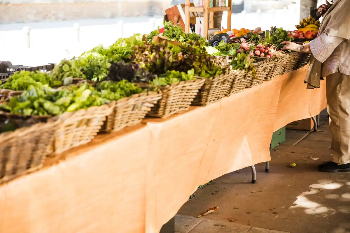 vegetable garden raised beds in rainy weather