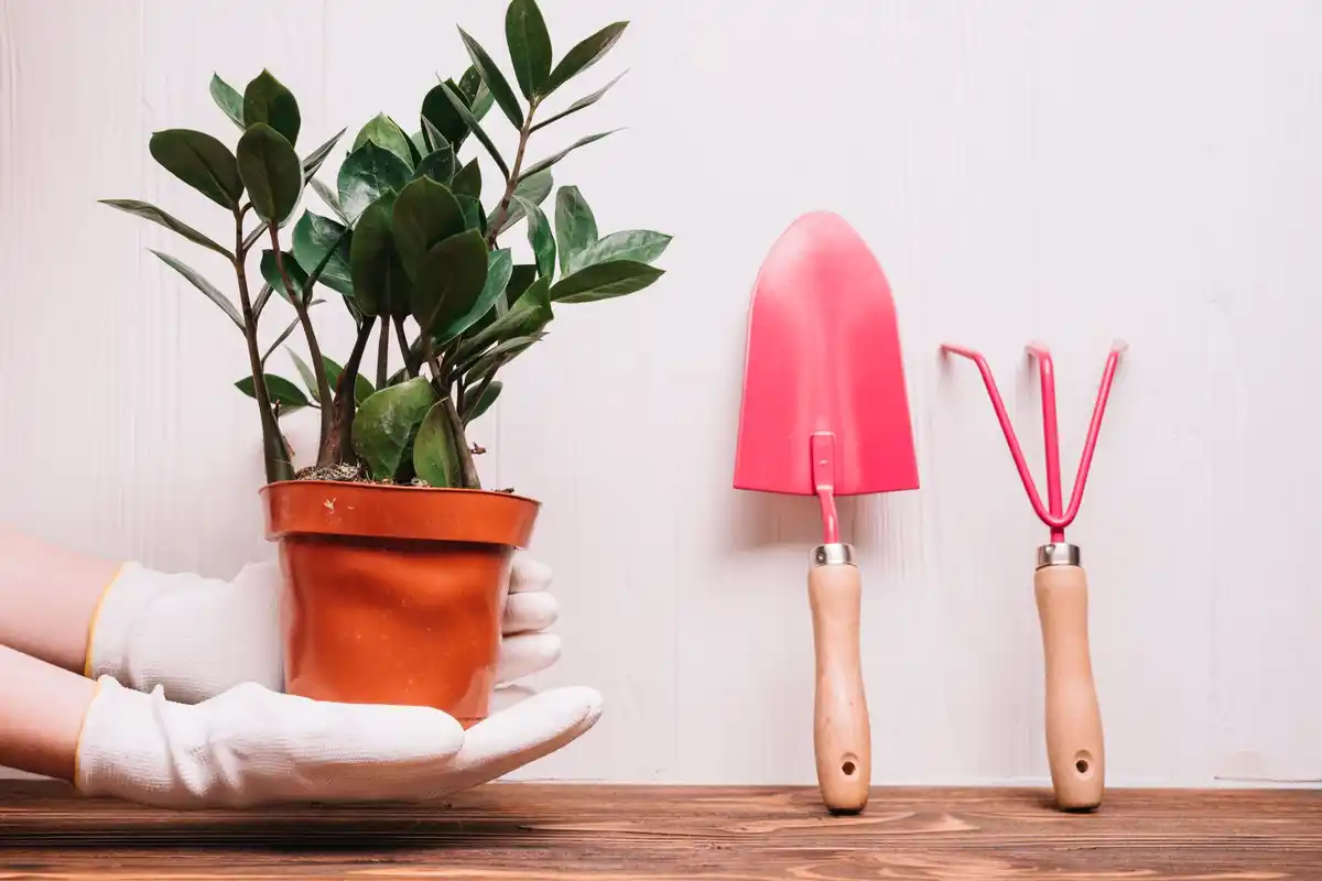 5 slimme tuintrucs met de juiste apparatuur – jouw tuin wordt prachtig!