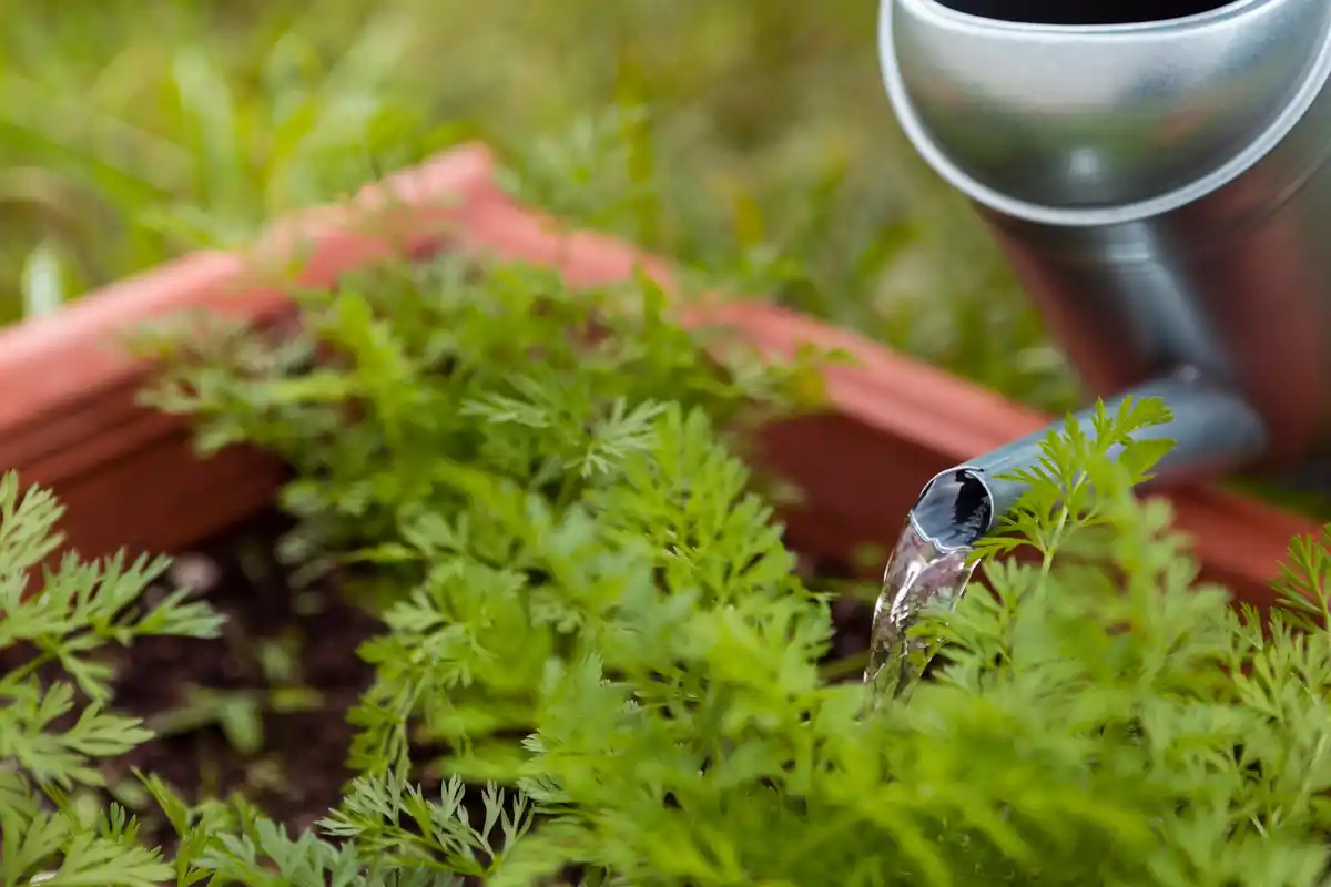 automatic smart lawn sprinkler garden irrigation