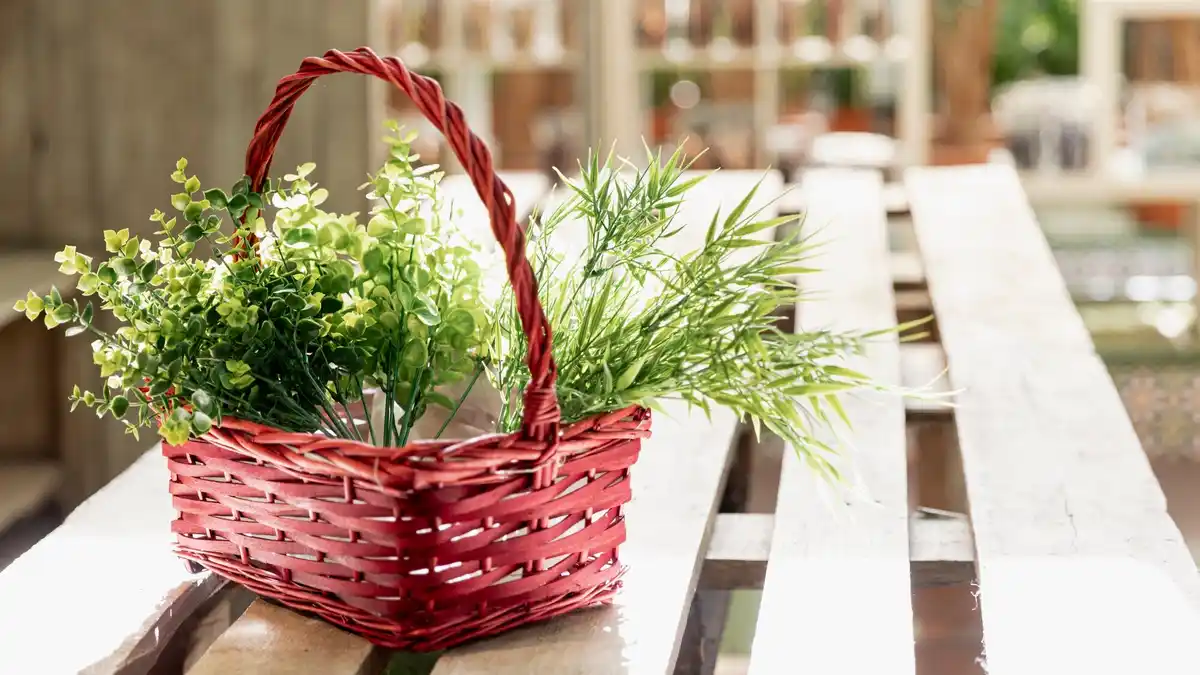 Van lege pot tot eigen oogst: zo start je je moestuin in containers