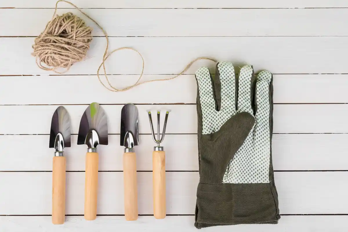 gardening tools maintenance cutting pruning