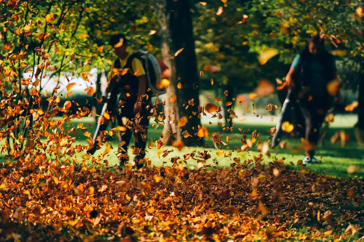 compact garden leaf blower Netherlands