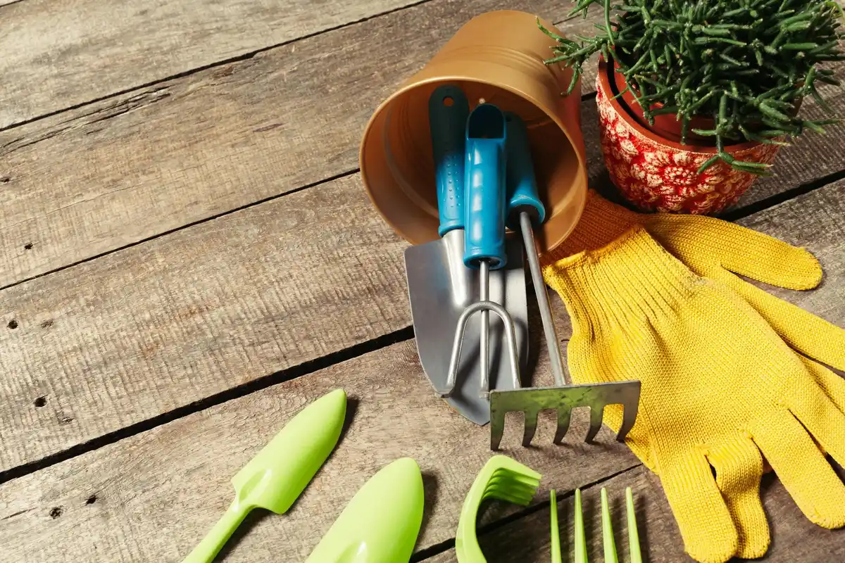Welke tuinmachine werkt het beste voor elke klus? Wij hebben het onderzocht