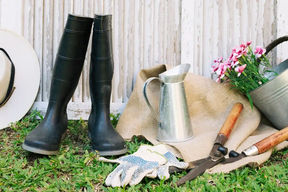 garden tools and lawn mower in backyard