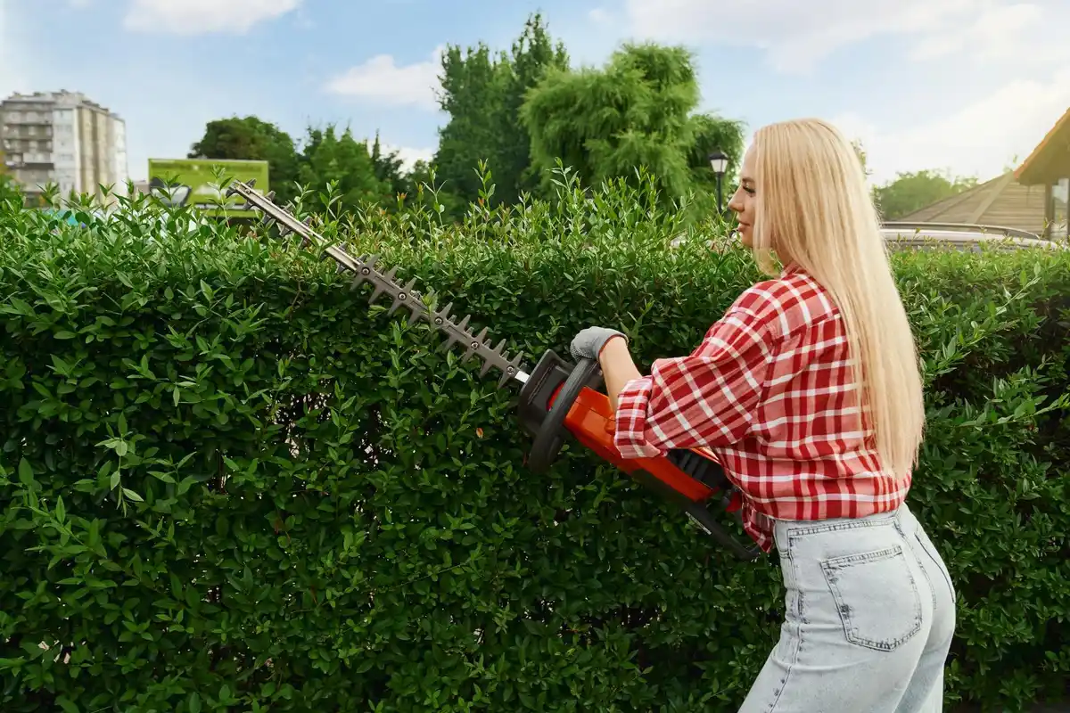 person trimming high garden hedge with cordless hedge trimmer