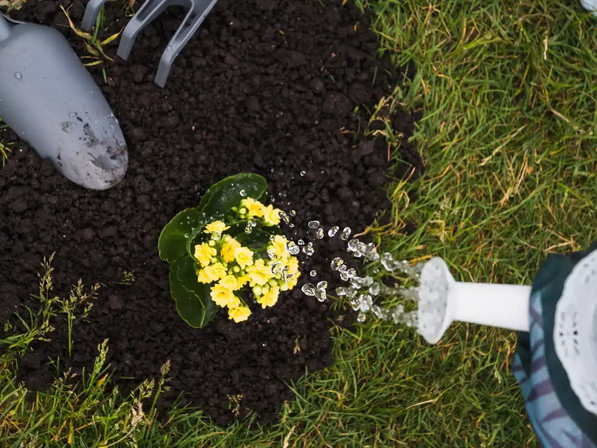 automatic sprinkler watering Dutch garden
