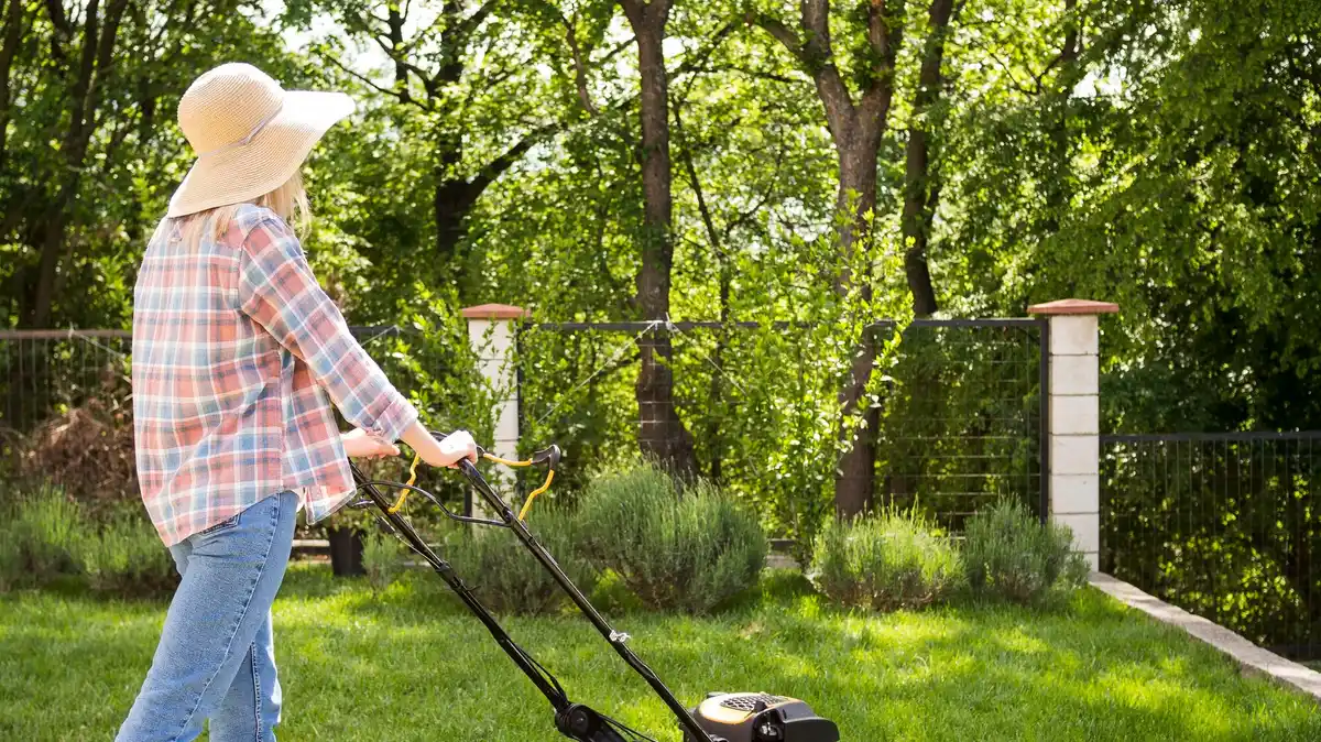 dutch lawn mower grass cutting tips garden