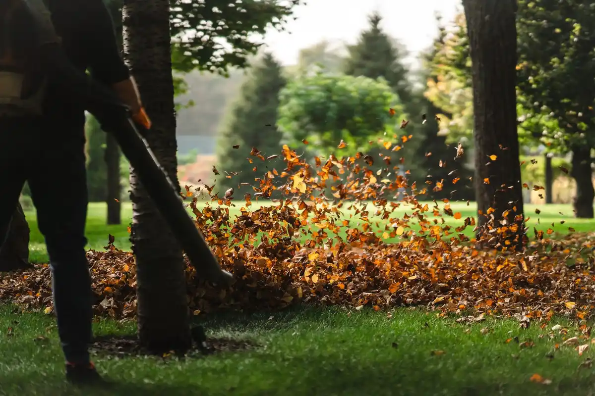 Dutch lawn mower in action in residential garden