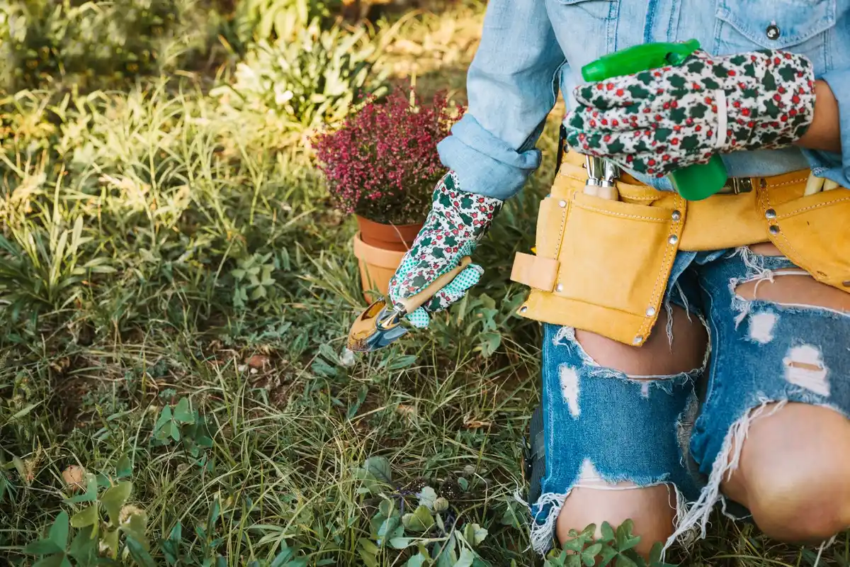 fertilizing lawn summer garden Netherlands