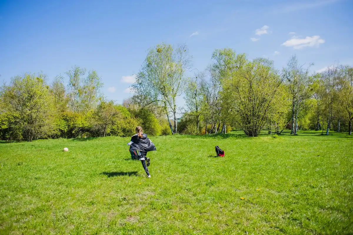 perfect green lawn Netherlands spring