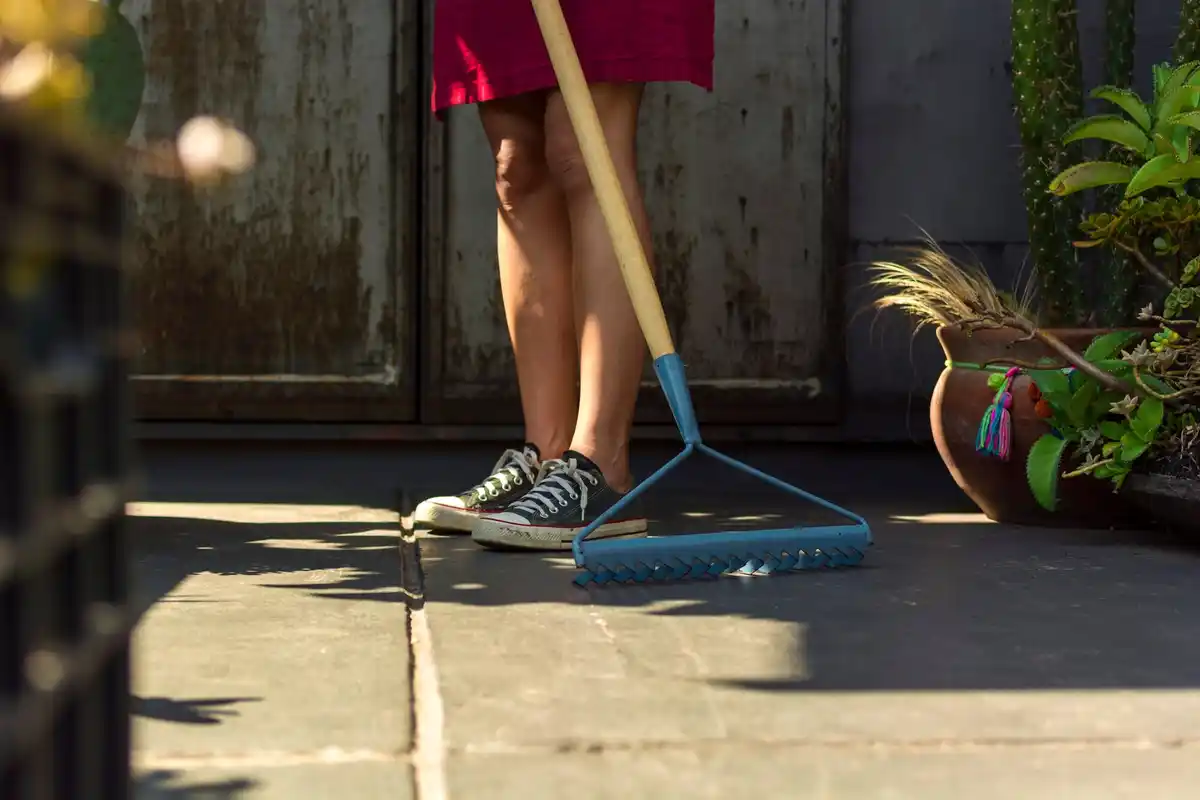 dutch lawn weed removal tools garden