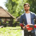 dutch lawn care green garden maintenance