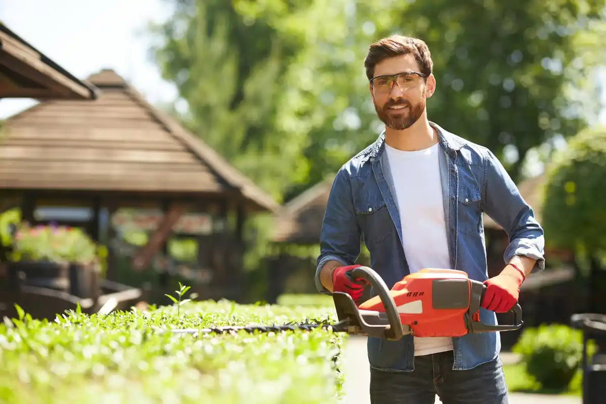 dutch lawn care green garden maintenance