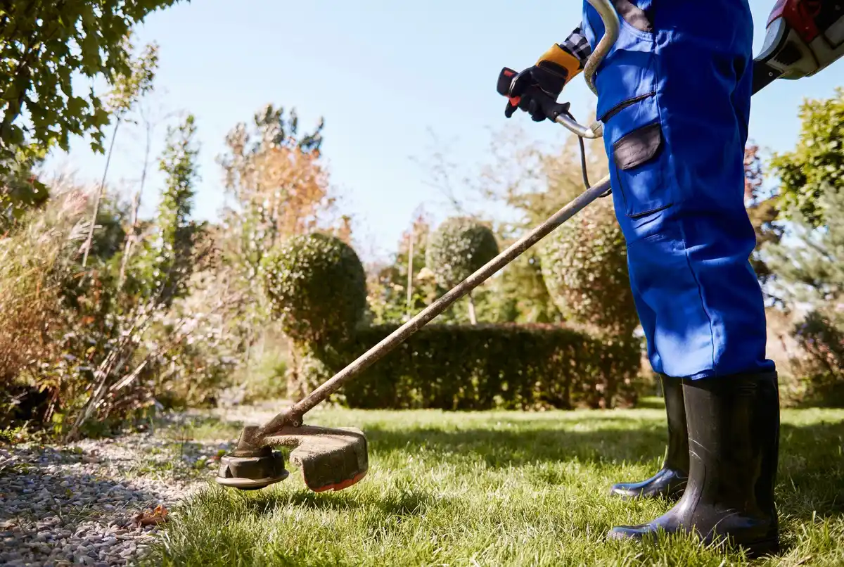 lawn care in dutch garden