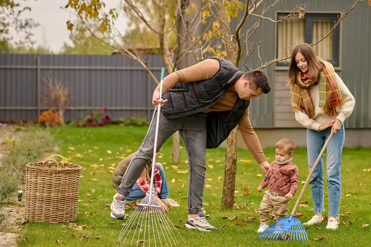 fertilizing backyard lawn in spring
