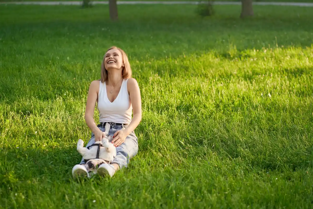Netherlands lawn recovery fresh green grass