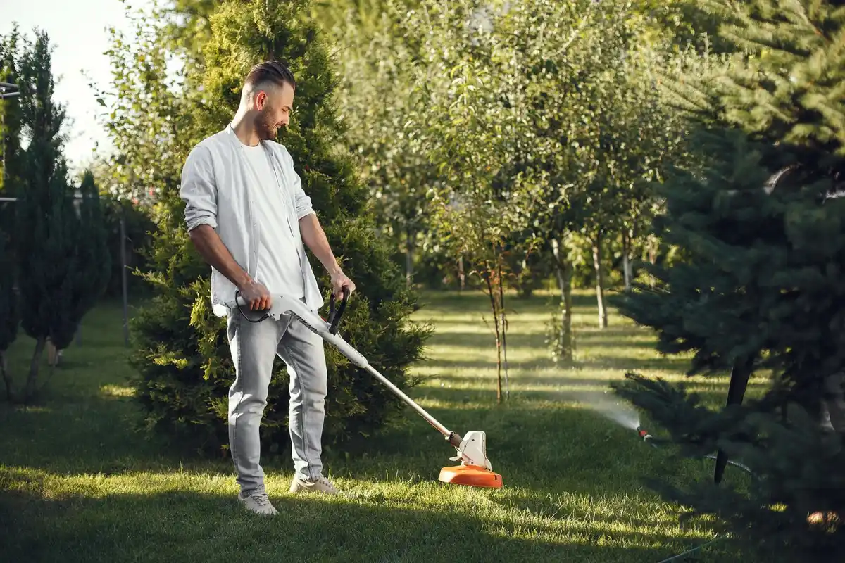 lawn mower cutting grass in dutch garden summer
