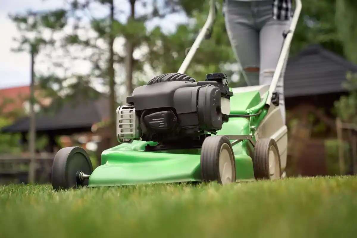 lawn mowing frequency in dutch garden