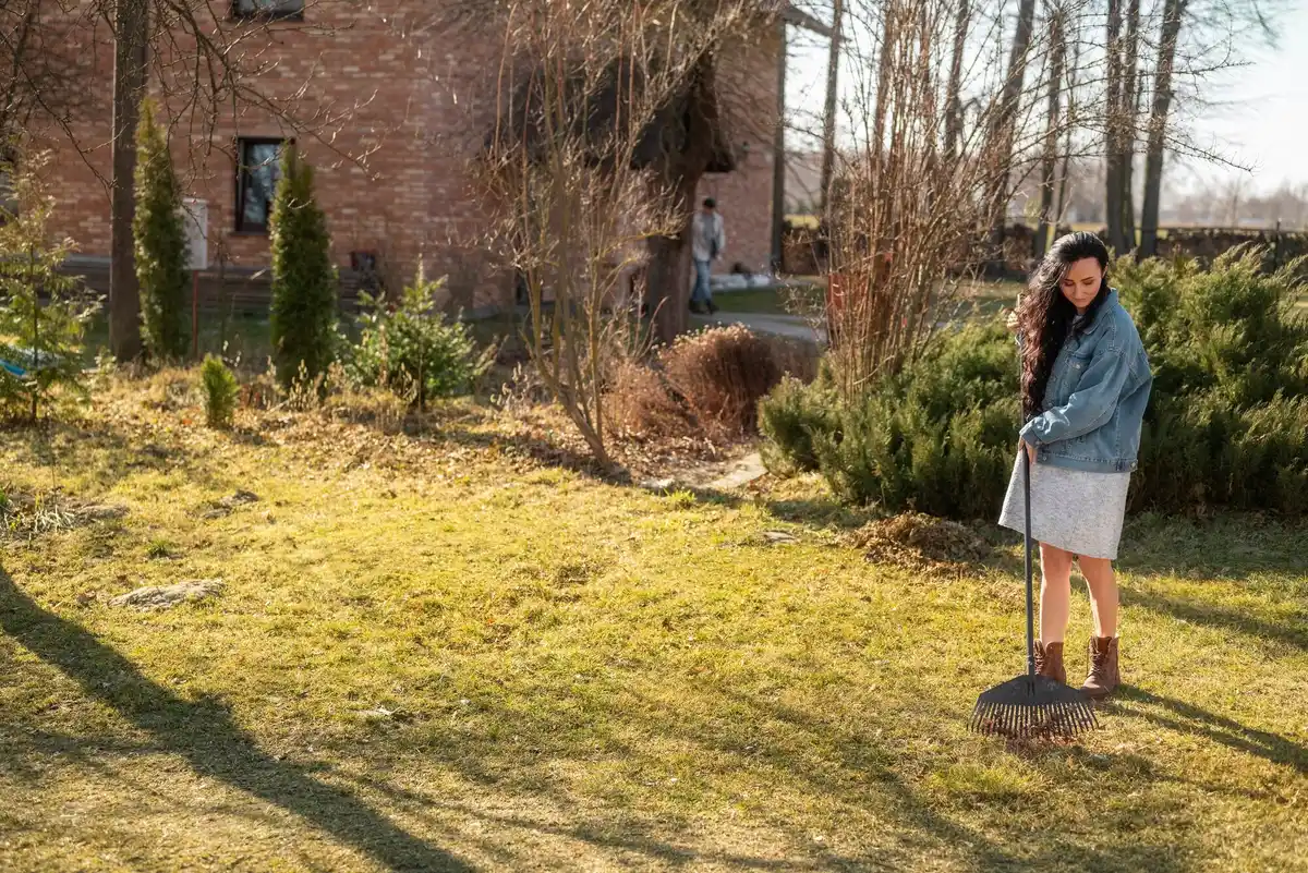 spring lawn mowing frequency netherlands