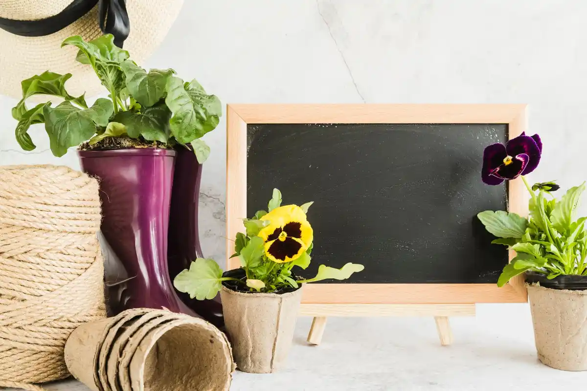 urban garden gardening tools and vegetable plants small space