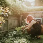 dutch vegetable garden watering morning sun healthy plants