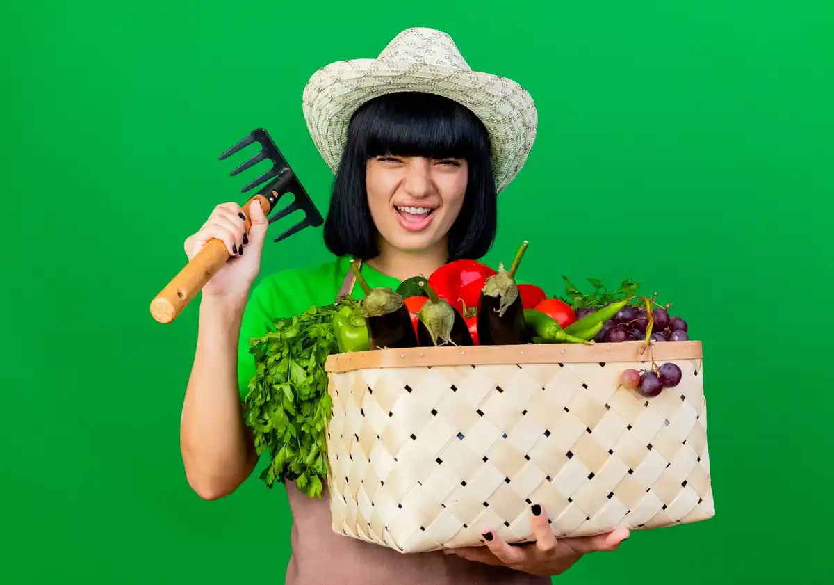 spring vegetable garden fresh colorful