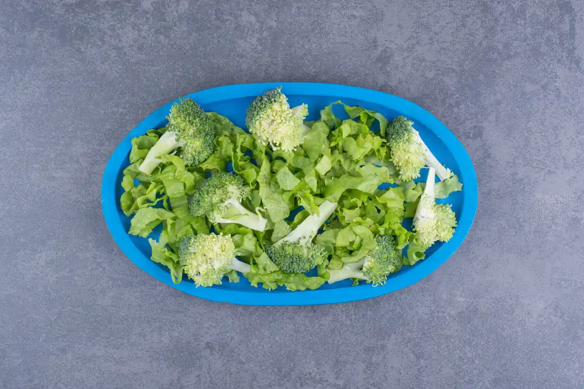 fresh green lettuce in plastic container with paper towel inside