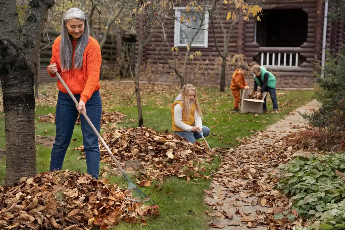 garden cleanup spring preparation