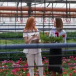 balcony vegetable gardening mistakes netherlands
