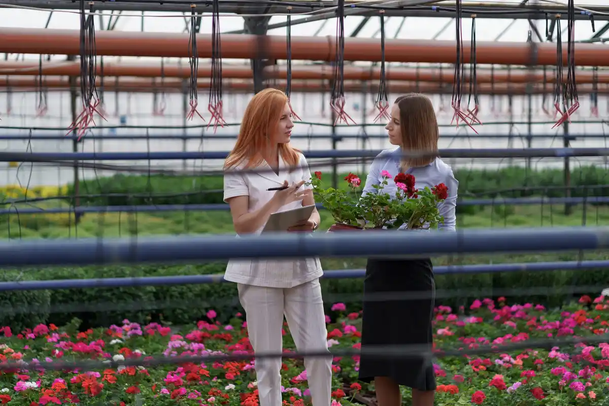 Fouten die je moet vermijden bij het kweken van groenten in bakken op je balkon