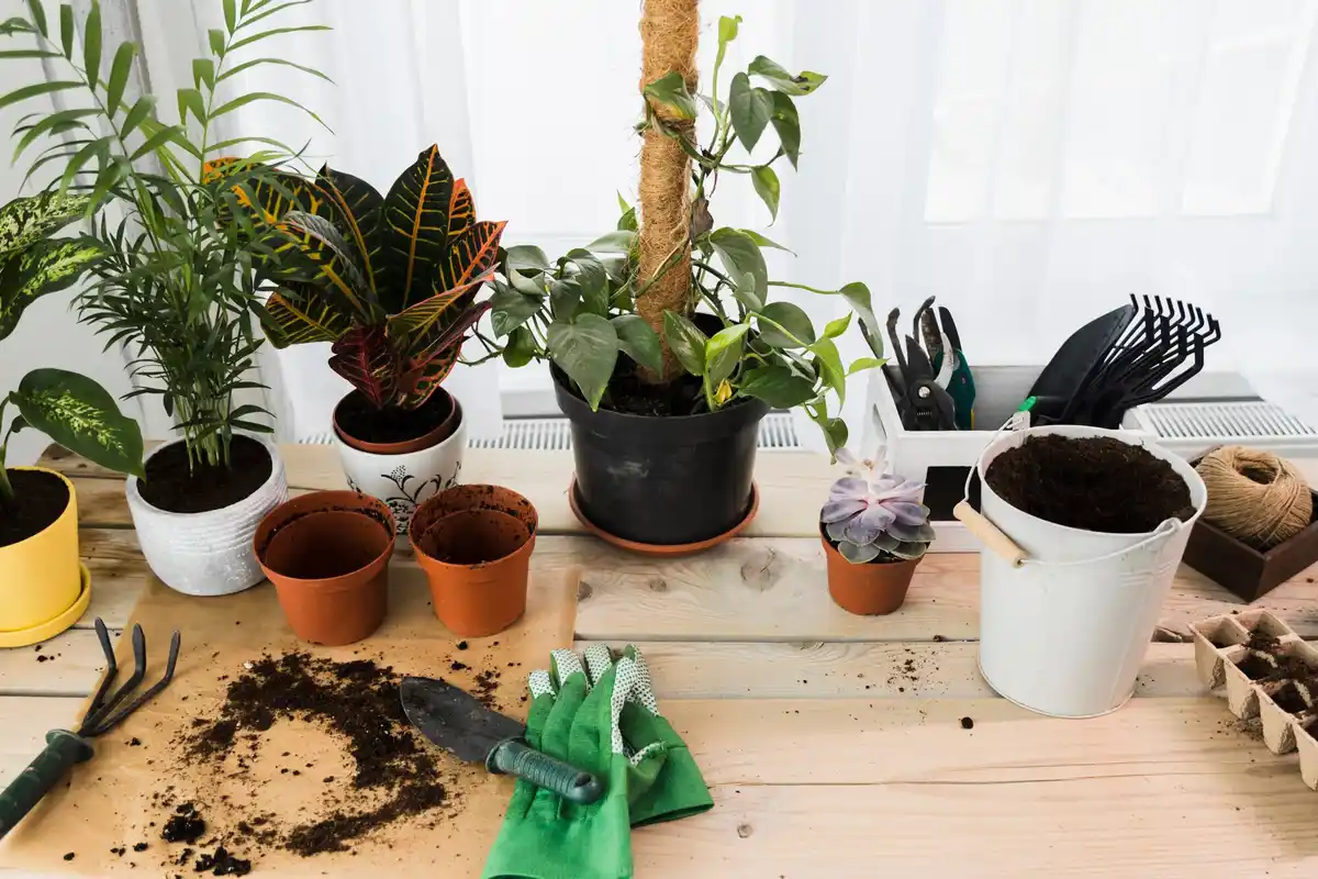 urban balcony garden potting soil